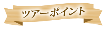 ツアーポイント