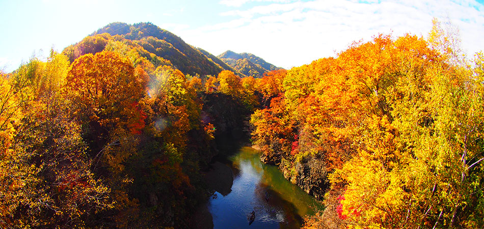 北海道特集