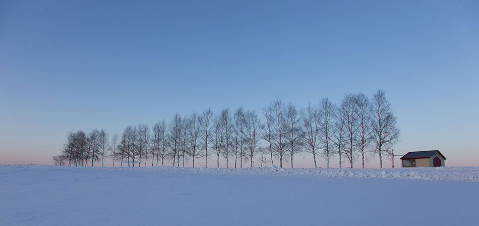 北海道特集