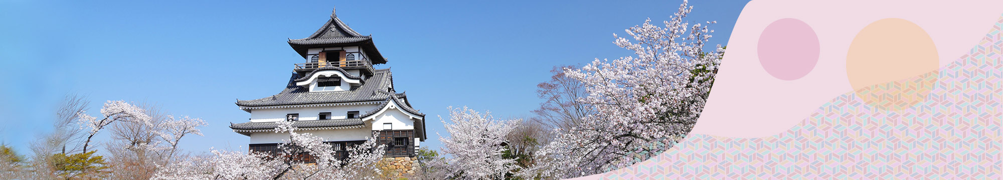 トップ画像1