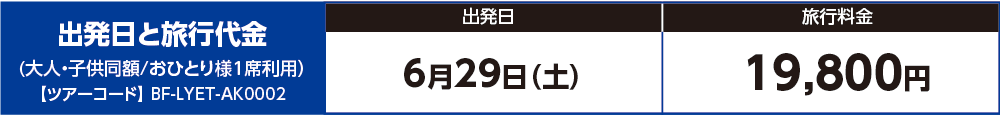料金