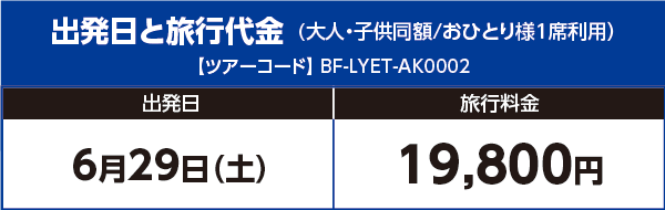 料金