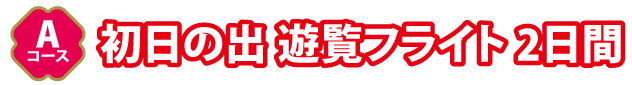 Aコース初日の出 遊覧フライト 2日間