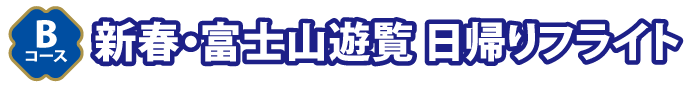 Bコース新春・富士山遊覧 日帰りフライト