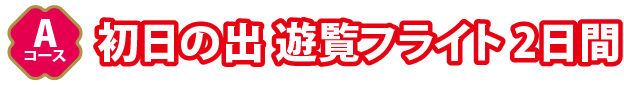 Aコース初日の出 遊覧フライト 2日間