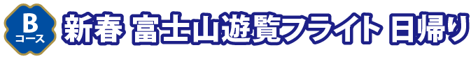 Bコース新春・富士山遊覧 日帰りフライト