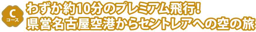 cコース新春・～ビジネスクラス機内食体験付き～わずか約10分のプレミアム飛行！県営名古屋空港からセントレアへの空の旅