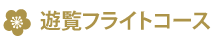 遊覧フライトコース