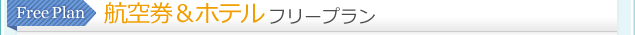 航空券＆ホテル フリープラン
