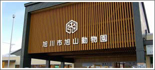 旭川市旭山動物園