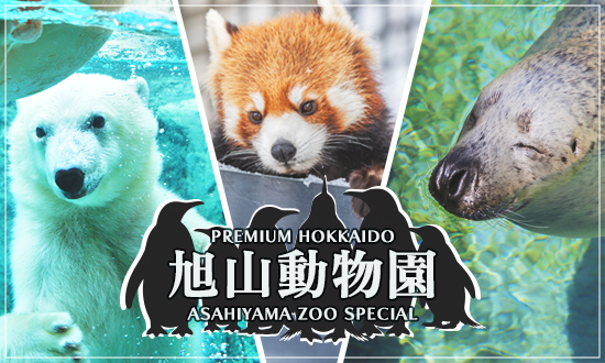 旭山動物園に行こう／旭山動物園ツアー・フリープラン