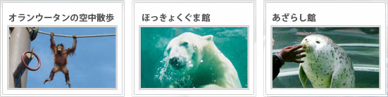 定期もぐもぐタイム