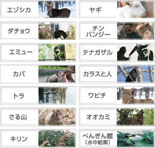 不定期モグモグタイム