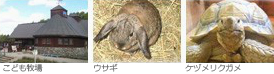 こども牧場