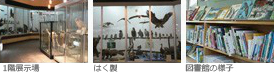動物図書館