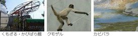 くもざる・かぴばら館