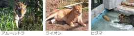 もうじゅう館