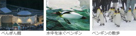ぺんぎん館