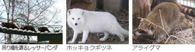 レッサーパンダの吊り橋・小獣舎