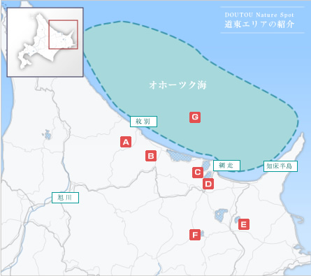 道東エリアの紹介地図