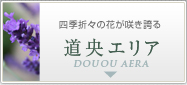 道央エリア
