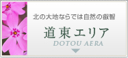 道東エリア