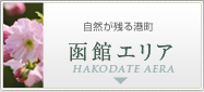 函館エリア