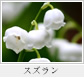 スズラン