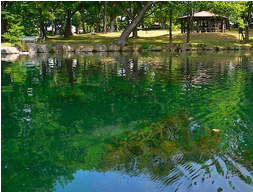 鳥沼公園