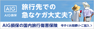 AIG損保国内旅行傷害保険