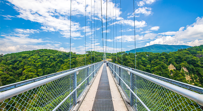 九重“夢”大吊橋