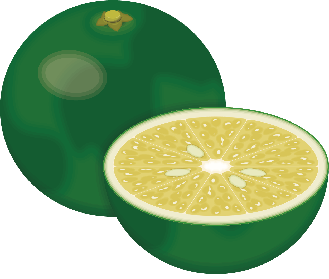 大分県のかぼす