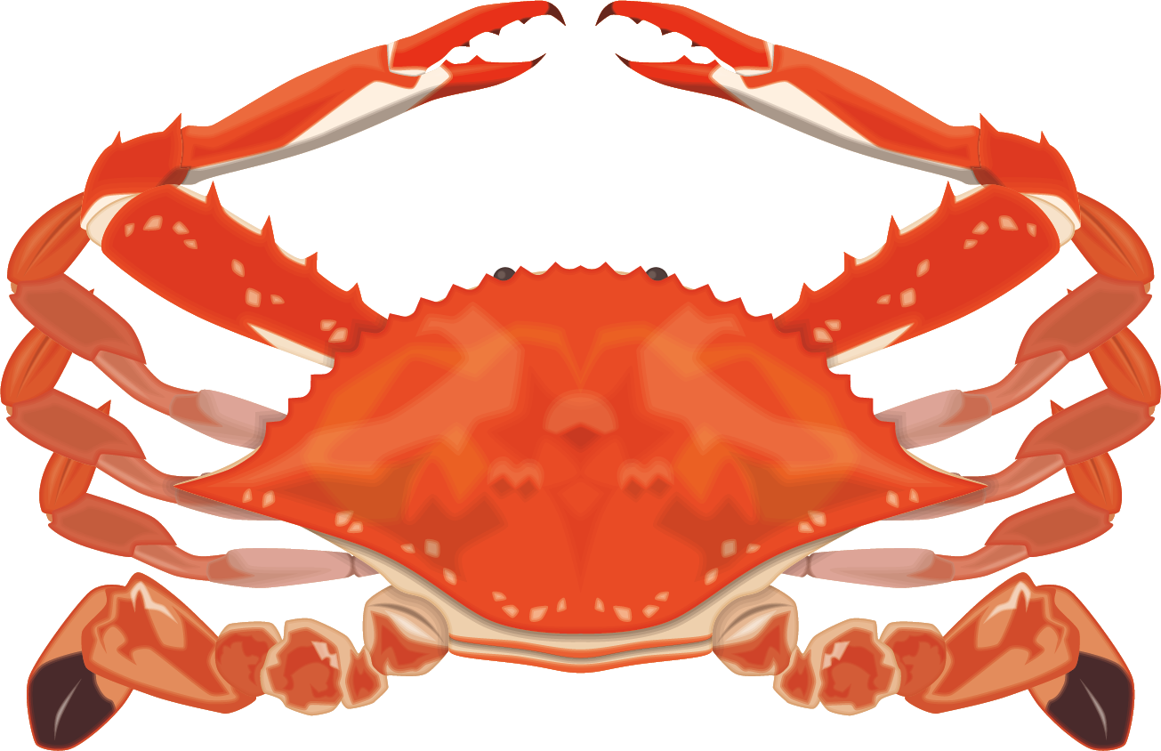 佐賀県 竹崎かに