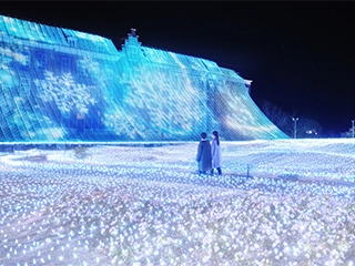 光のオーロラガーデン