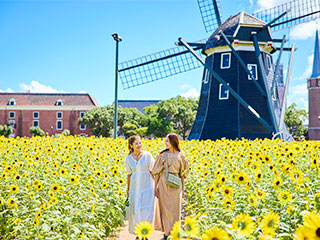 ヒマワリセレブレーション