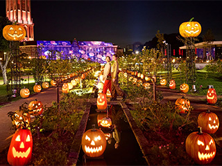 ハロウィン・ナイトウォーク