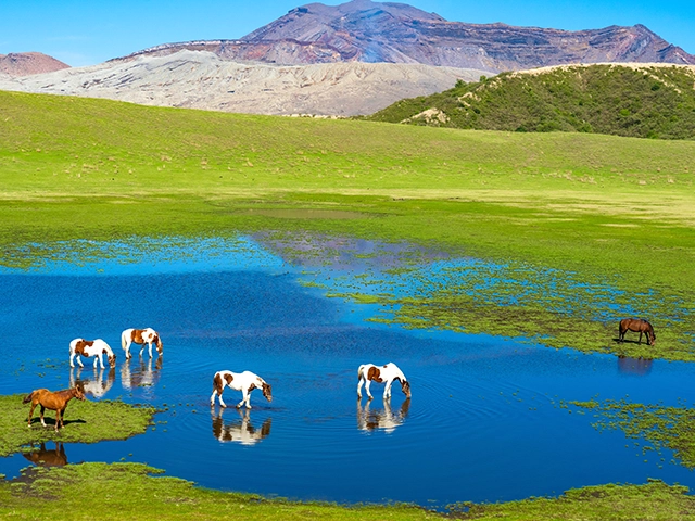 草千里ヶ浜
