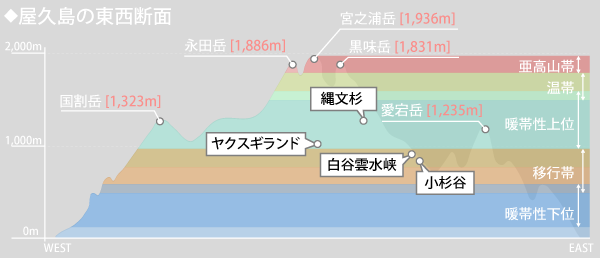 屋久島の東西断面