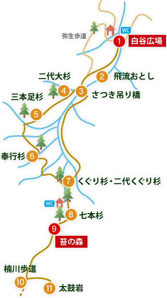 白谷雲水峡おすすめルート