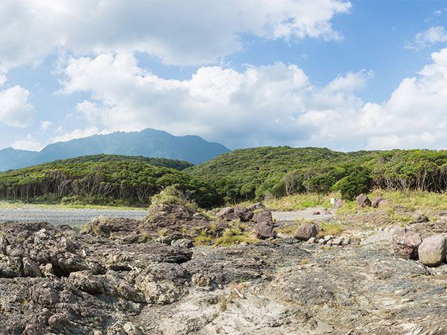 枕状溶岩