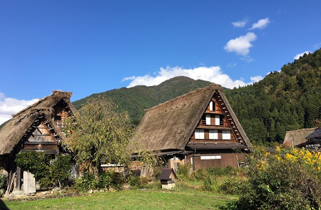 2か所の世界遺産をめぐる！定期観光バス【五箇山相倉と白川郷】