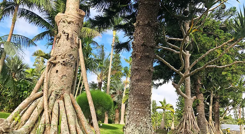 東南植物楽園