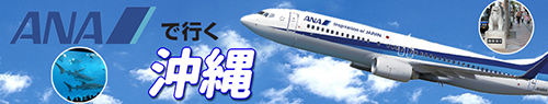 ANA発沖縄