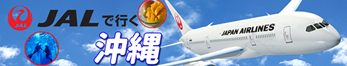 JAL発沖縄