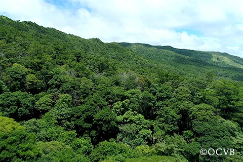 金剛石林山