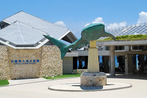 美ら海水族館