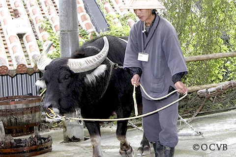 琉球村