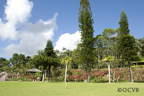 東南植物楽園