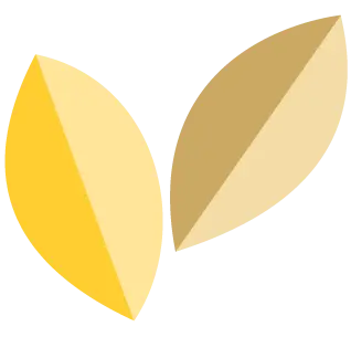 黄色と茶色の葉