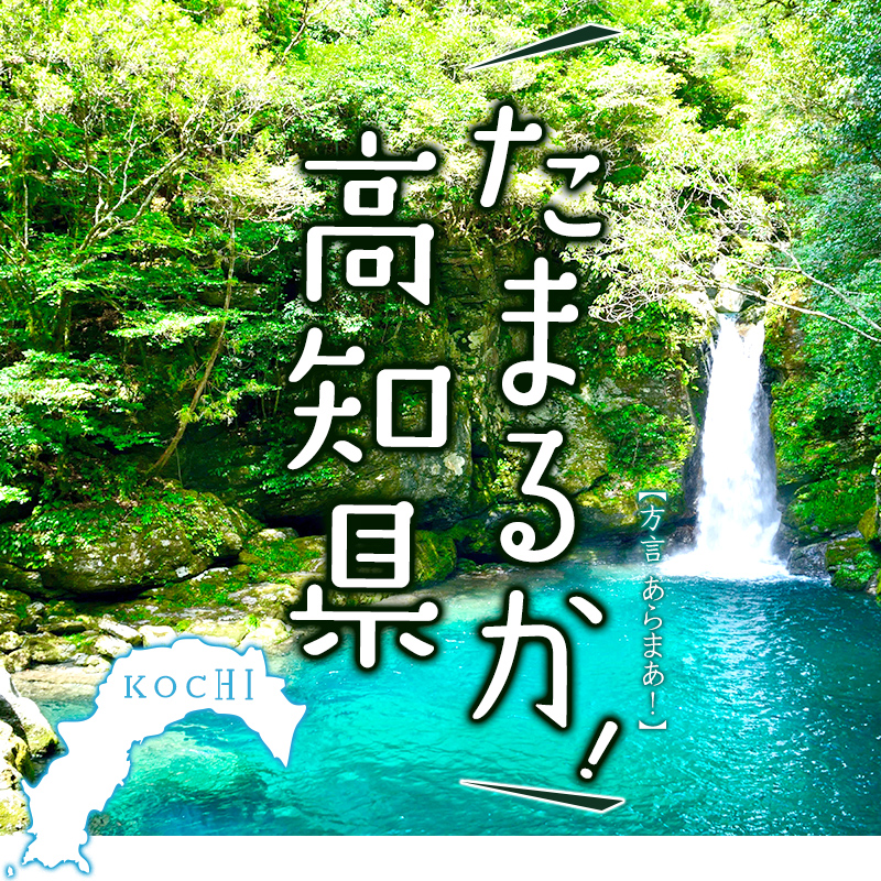 県営名古屋空港からフジドリームエアラインズで高知へ！たまるか！高知県＝【方言】あらまあ！高知